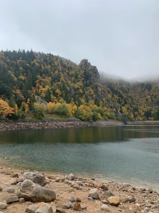 Le Belvedere Du Lac Blanc Orbey Eksteriør billede